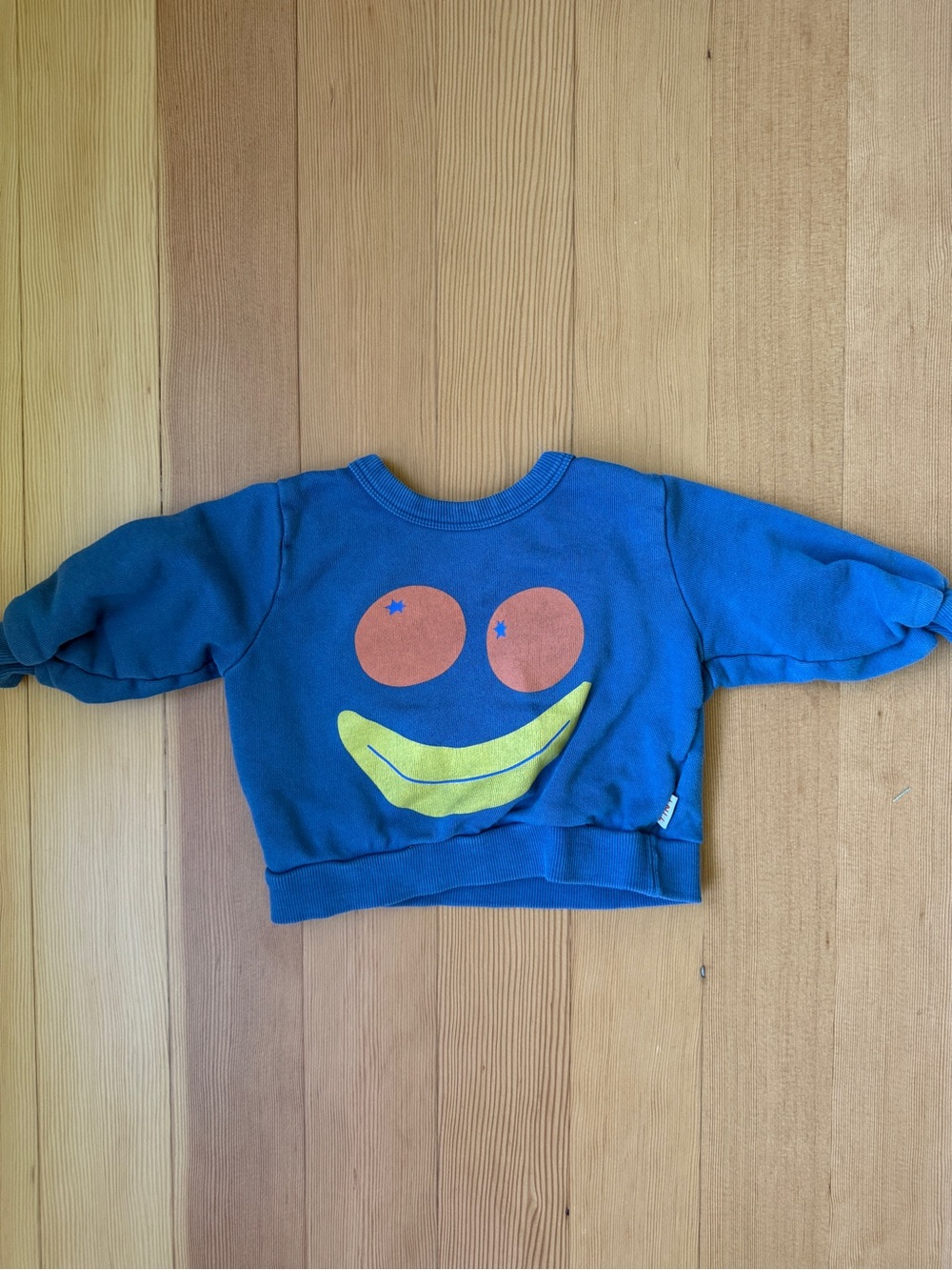 Tiny Cottons Organic Cotton Blue Fruit print sweatshirt